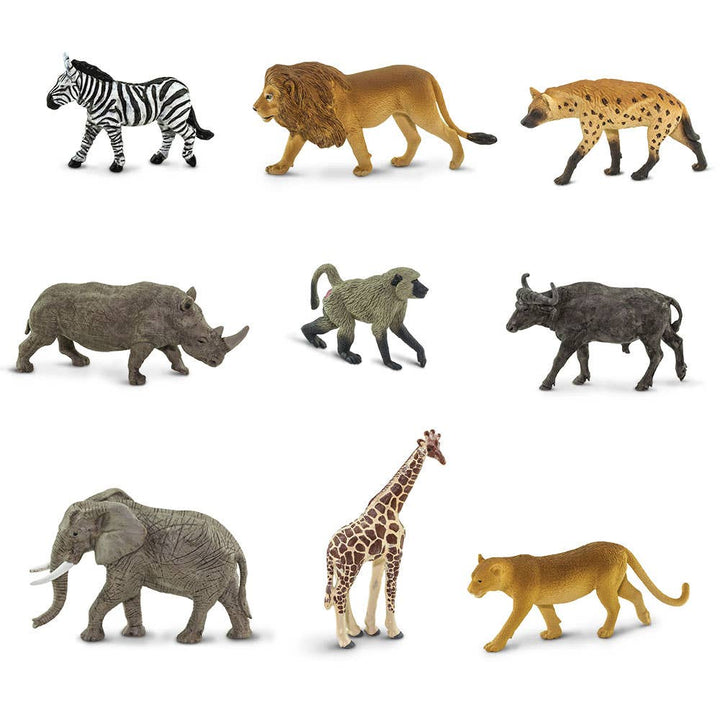 South African Animals TOOB0