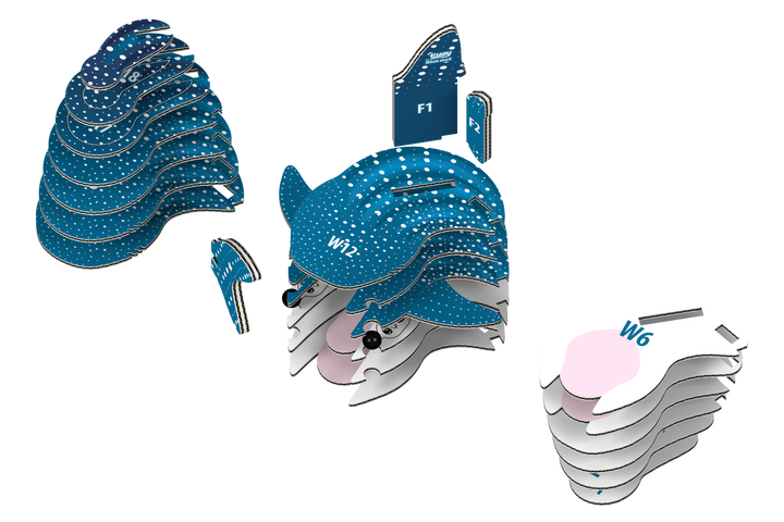 EUGY Whale Shark 3D Puzzle