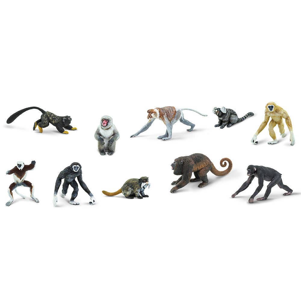 Primates TOOB®