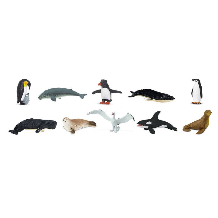 Antarctica TOOB
